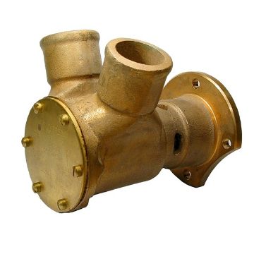 Immagine di 29700-1301 Pompa in bronzo 29700-1301