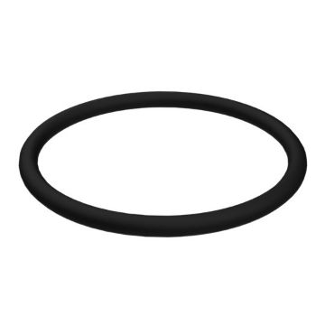 Immagine di 6V5055A ORING
