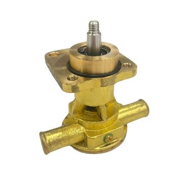 Immagine di 145017130 POMPA ACQUA SALATA