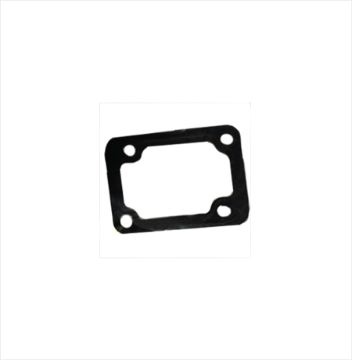 Immagine di 22022191F GUARNIZIONE  - GASKET