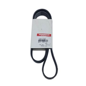 Immagine di 129671-77680 CINGHIA MULTI-GROOVE 4JH4TE/HTE da matr. E15602 / E24940