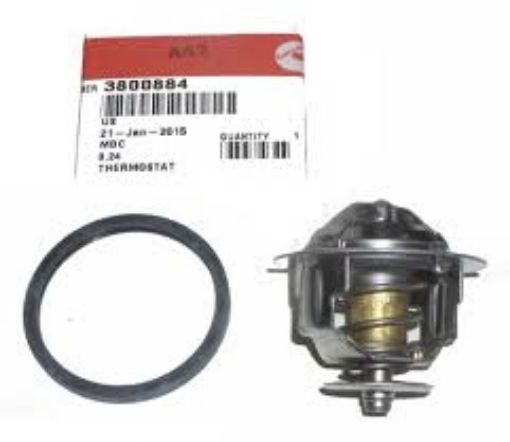 Immagine di 3800884 KIT,THERMOSTAT