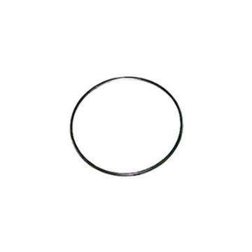 Immagine di 4N3955 GUARNIZIONE GASKET