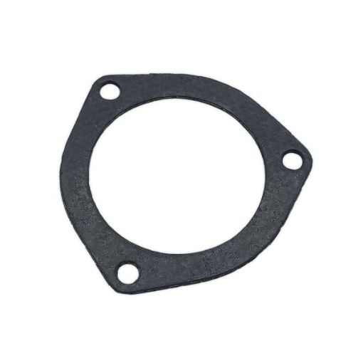 Immagine di 1105141 GUARNIZIONE GASKET