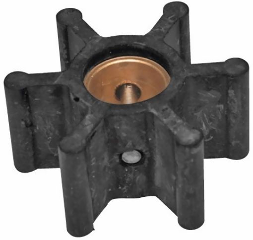 Immagine di 80161 GIRANTE JOHNSON 09.808B+GUARN.+OR