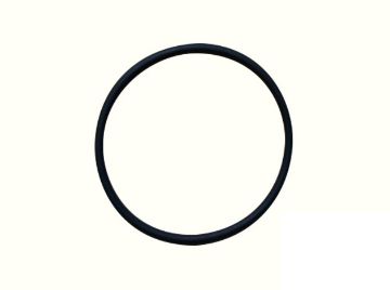 Immagine di 2542270 TENUTA SEAL-O-RING