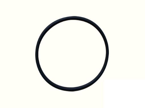 Immagine di 2542270 TENUTA SEAL-O-RING