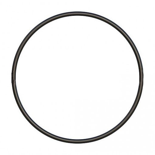 Immagine di 1097411 TENUTA SEAL-O-RING