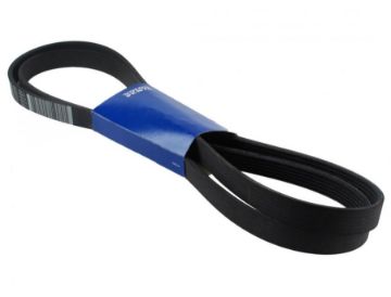 Immagine di 21405494 CINGHIA