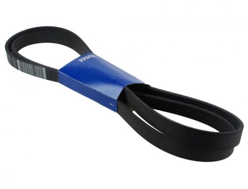 Immagine di 21405494 CINGHIA