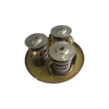 Immagine di OE49554 THERMOSTAT