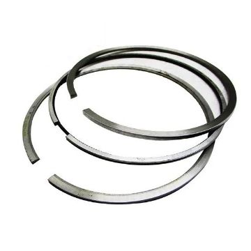 Immagine di 1W8922 Ring Set, Single Cylinder  STD