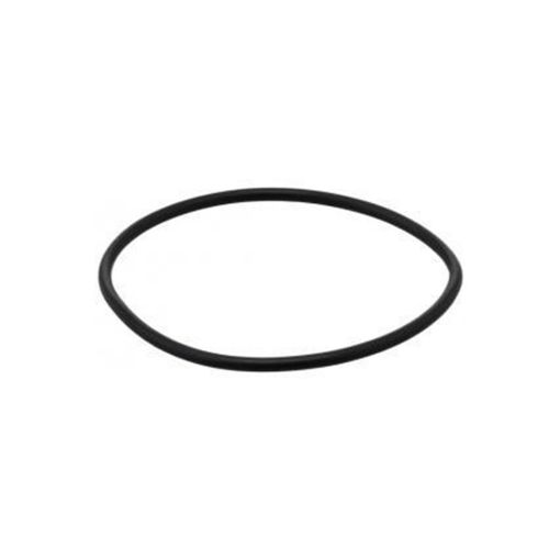 Immagine di 06.56933-6408 Anello tenuta toroid. 91X4N-ACM1-70