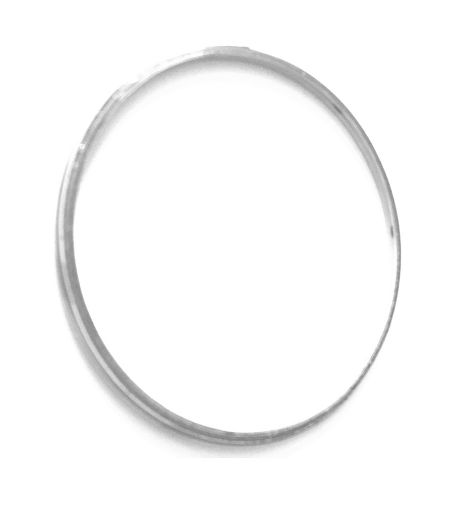 Immagine di 4205735 GUARNIZIONE GASKET
