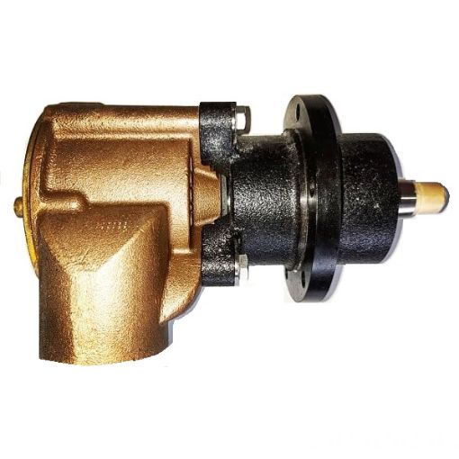 Immagine di 8032803 POMPA ACQUA MARE