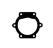 Immagine di 2368 GUARNIZIONE PER POMPE