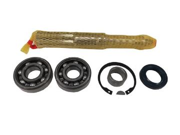 Immagine di 21951463 ALBERO