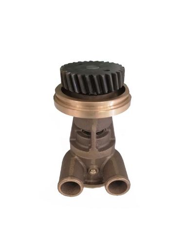 Immagine di 4255411 POMPA PUMP GP-AUX-