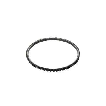 Immagine di 20090208265 RING GEAR FLYWHEEL