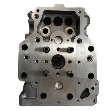 Immagine di 2425328A HEAD AS-CY