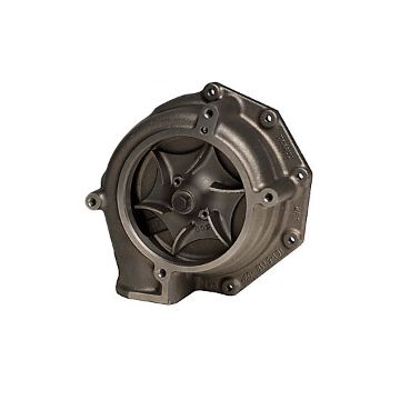 Immagine di 1701195 POMPA PUMP AS-WATE