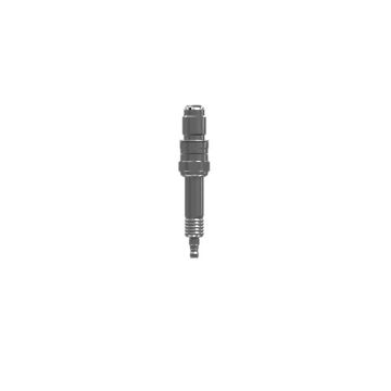 Immagine di 6027619 PLUG-SPARK