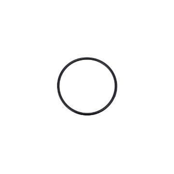 Immagine di 24321-000500 O RING