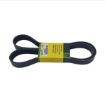 Immagine di R500277 CINGHIA POLY-V