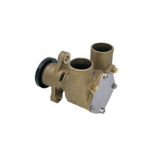 Immagine di 8M0155633 PUMP-SEAWATER