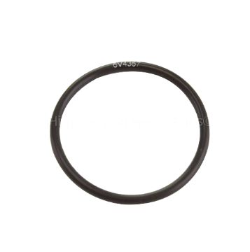 Immagine di 6V4367A TENUTA