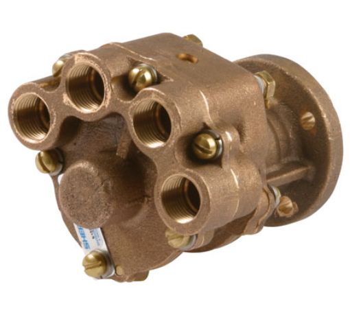 Immagine di N10360GX Pompa Acqua Mare Chris Craft - Obsoleta