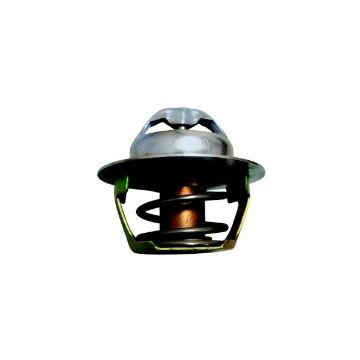 Immagine di 3580365 TERMOSTATO