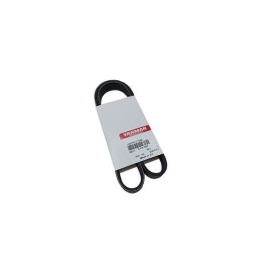 Immagine di 128790-77580 CINGHIA MULTI-GROOVE  2¡ ALTERNATORE SUPPL JHCR