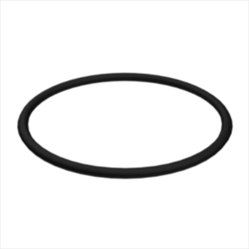 Immagine di 24311-000200 O RING =24313000200