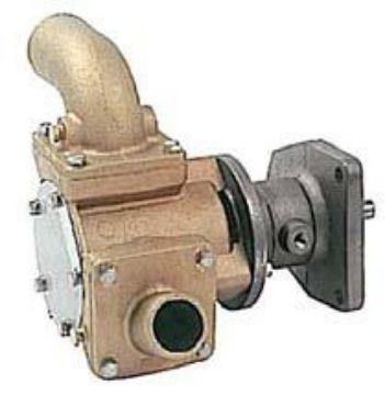 Immagine di 1971328 POMPA PUMP GP-AUX