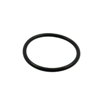 Immagine di 6V3250 SEAL O RING