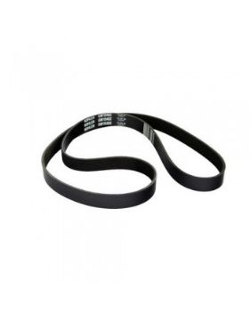 Immagine di GM18704 CINGHIA ALTERNATORE