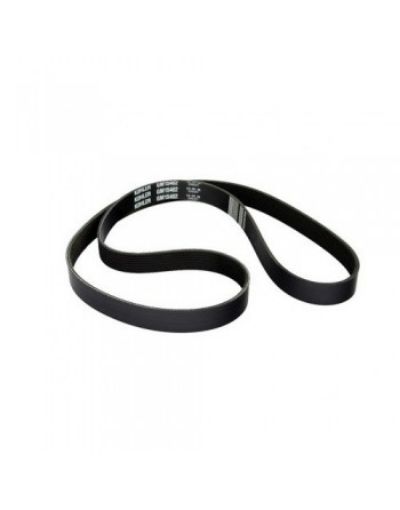 Immagine di GM18704 CINGHIA ALTERNATORE