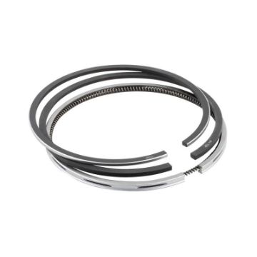 Immagine di 1350263 KIT ANELLI RING KT