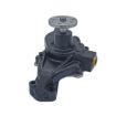 Immagine di 8503991 PUMP ASSY-WATER