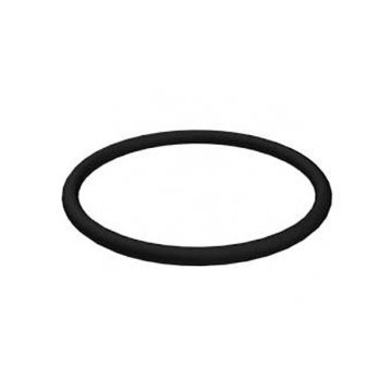 Immagine di 6V2695 SEAL