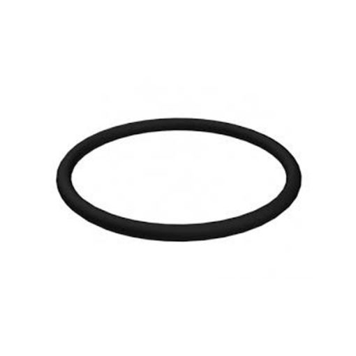 Immagine di 6V2695 SEAL