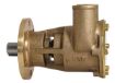 Immagine di 29600-1001 POMPA IN BRONZO 29600-1001