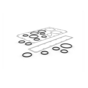 Immagine di 1247570A SERIE GUARNIZIONI AFTERCOOLER