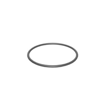 Immagine di 1073185 TENUTA SEAL