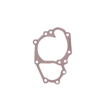 Immagine di 2152615 GUARNIZIONE GASKET