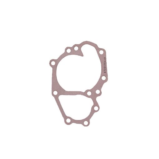 Immagine di 2152615 GUARNIZIONE GASKET