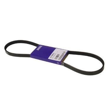 Immagine di 21160912 CINGHIA A V RINFORZATA