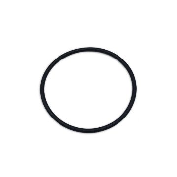 Immagine di 1947227 ANELLO O-RING