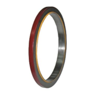 Immagine di 1138433A Paraolio